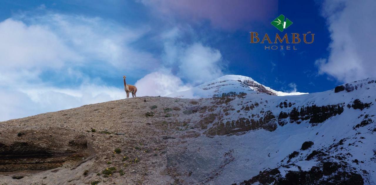 Hotel Bambu Риобамба Екстериор снимка
